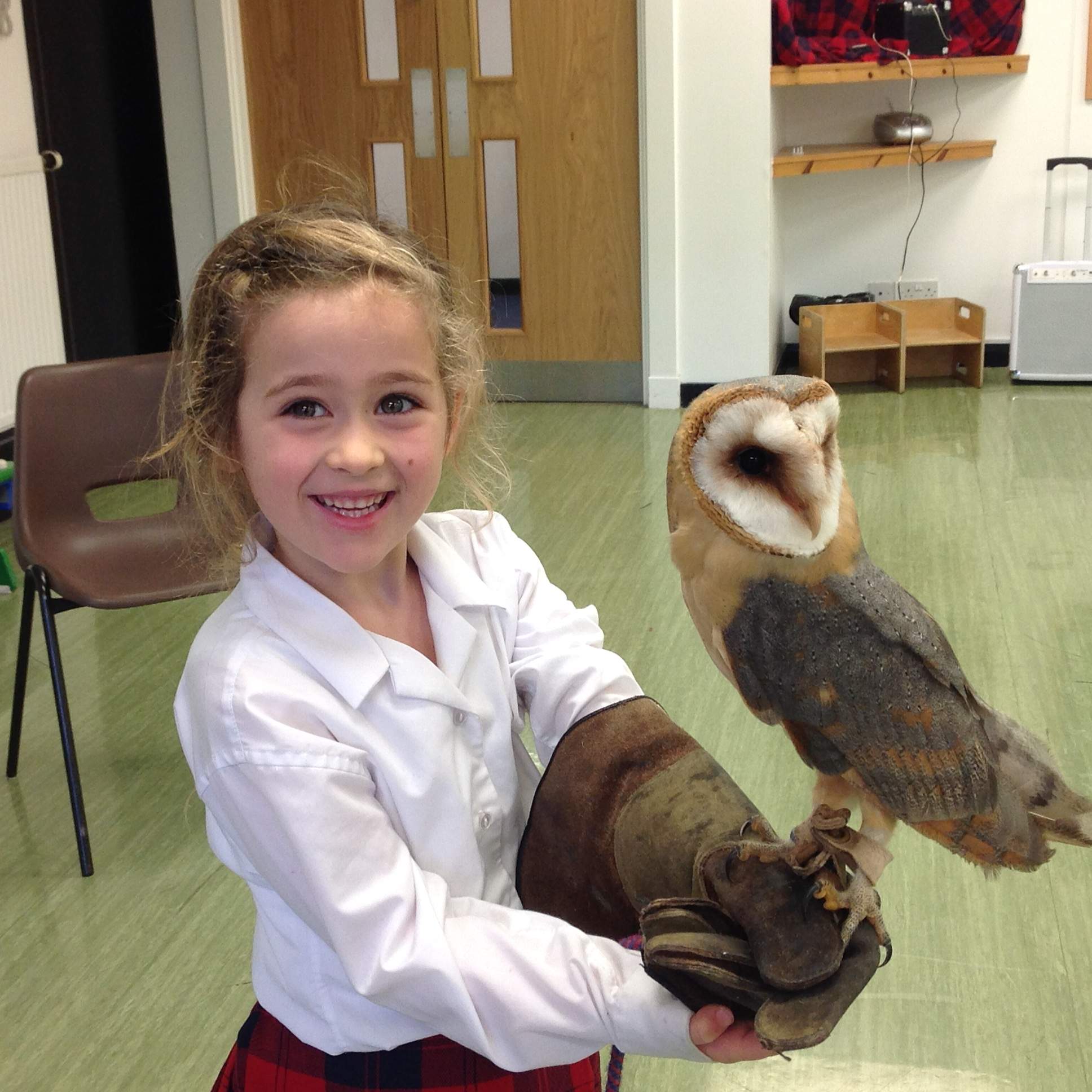 Owl Magic in the Junior School 